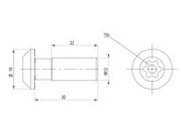 BSB Central screw M12x30 T50 ESD