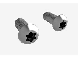 BSB Screw S6X16-T25 ESD